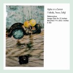 Apples on a Cannon 600