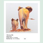 morning walk elephants