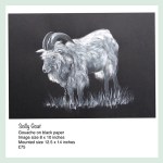 scilly goat